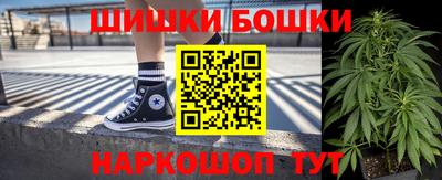 индика Будённовск