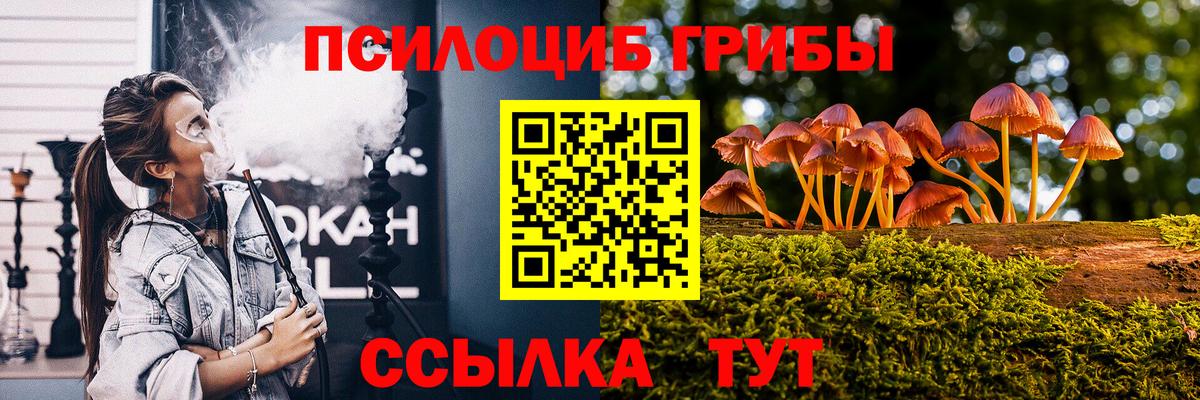 Галлюциногенные грибы Magic Shrooms  Вход с VPN  Саратов  Псилоцибиновые грибы ЛСД 